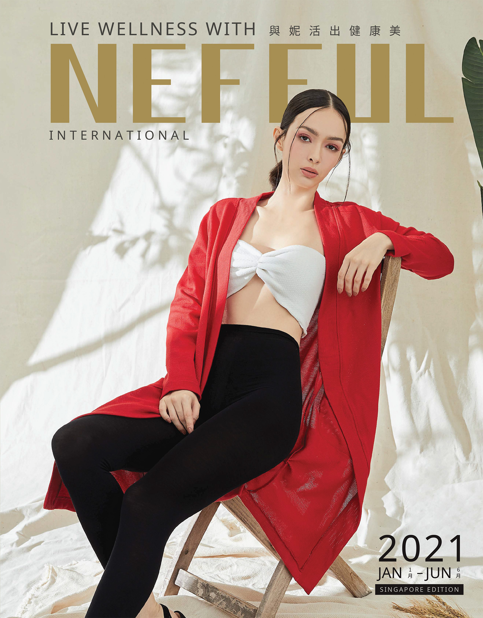 E-Catalogue | Nefful Singapore Holdings